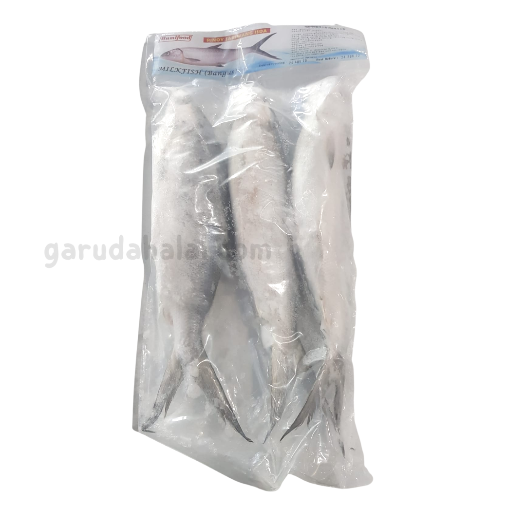 Ikan Bandeng - Milkfish (Bangus)