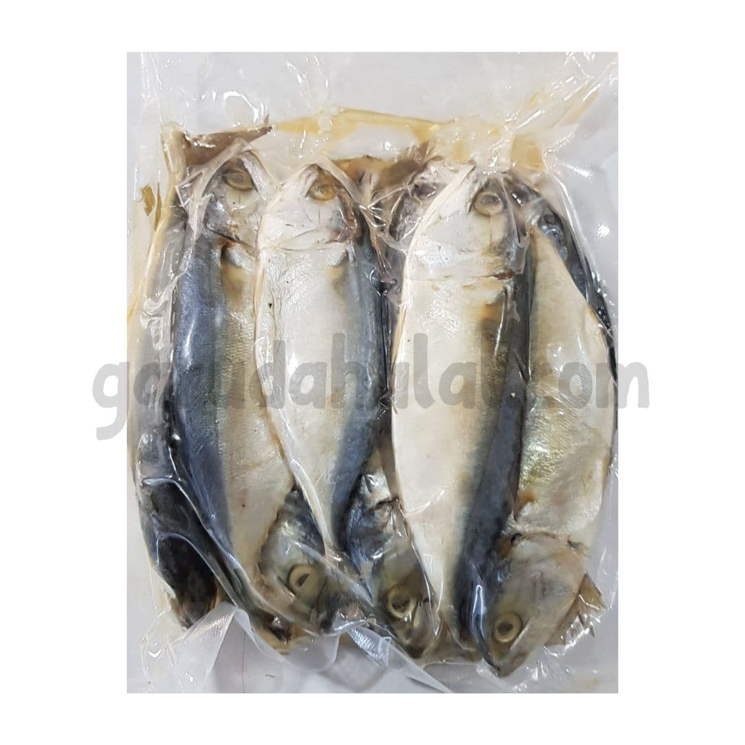 Ikan Peda Isi 3