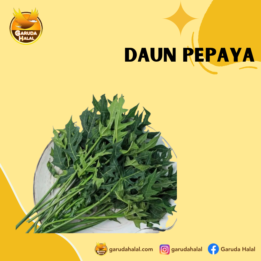 Daun Pepaya 1 Kg