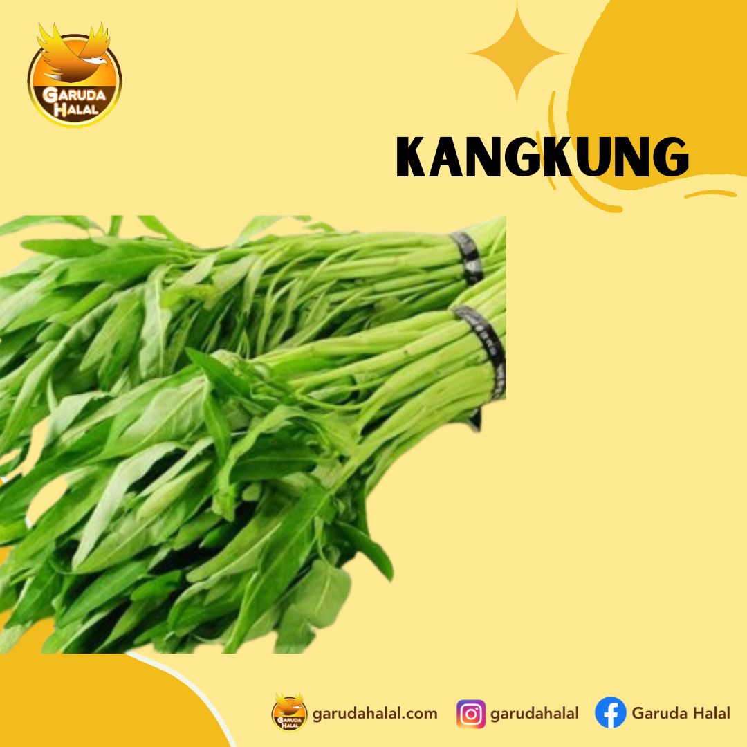 Kangkung